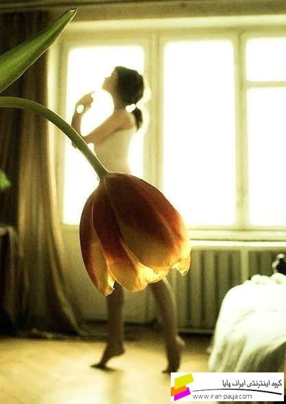 ballet flower.jpg